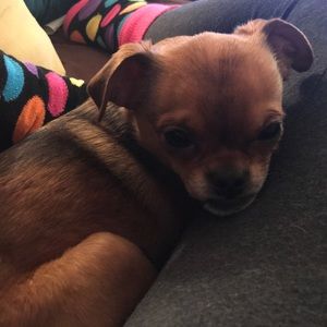 Meet your Posher, Teri